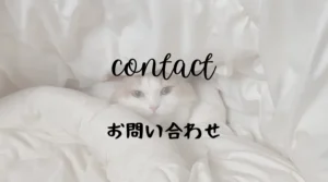 neconex　爪とぎ　猫