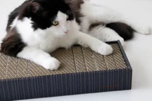 neconex　爪とぎ　猫