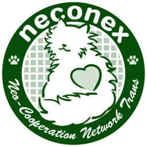 neconex　爪とぎ　猫