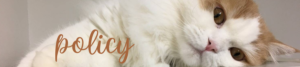 neconex　爪とぎ　猫